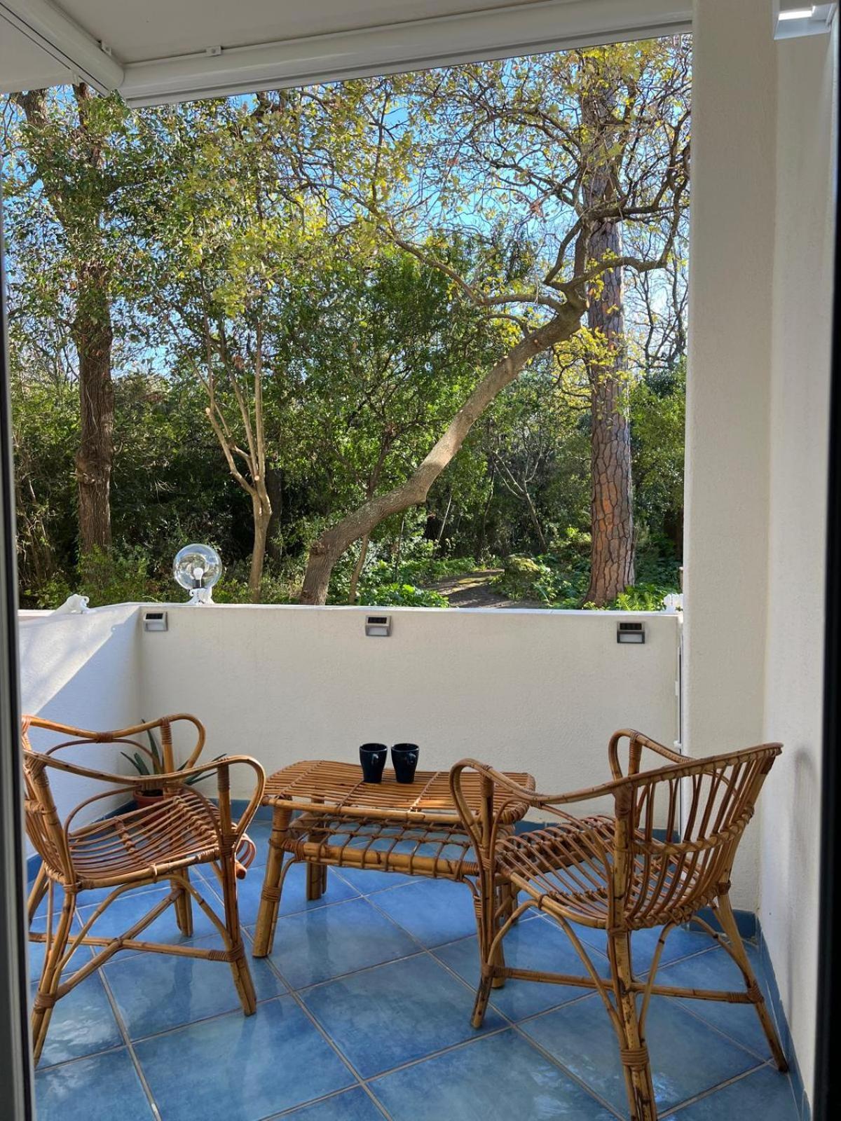 Casa Vacanza Imparo B&B Ischia Esterno foto