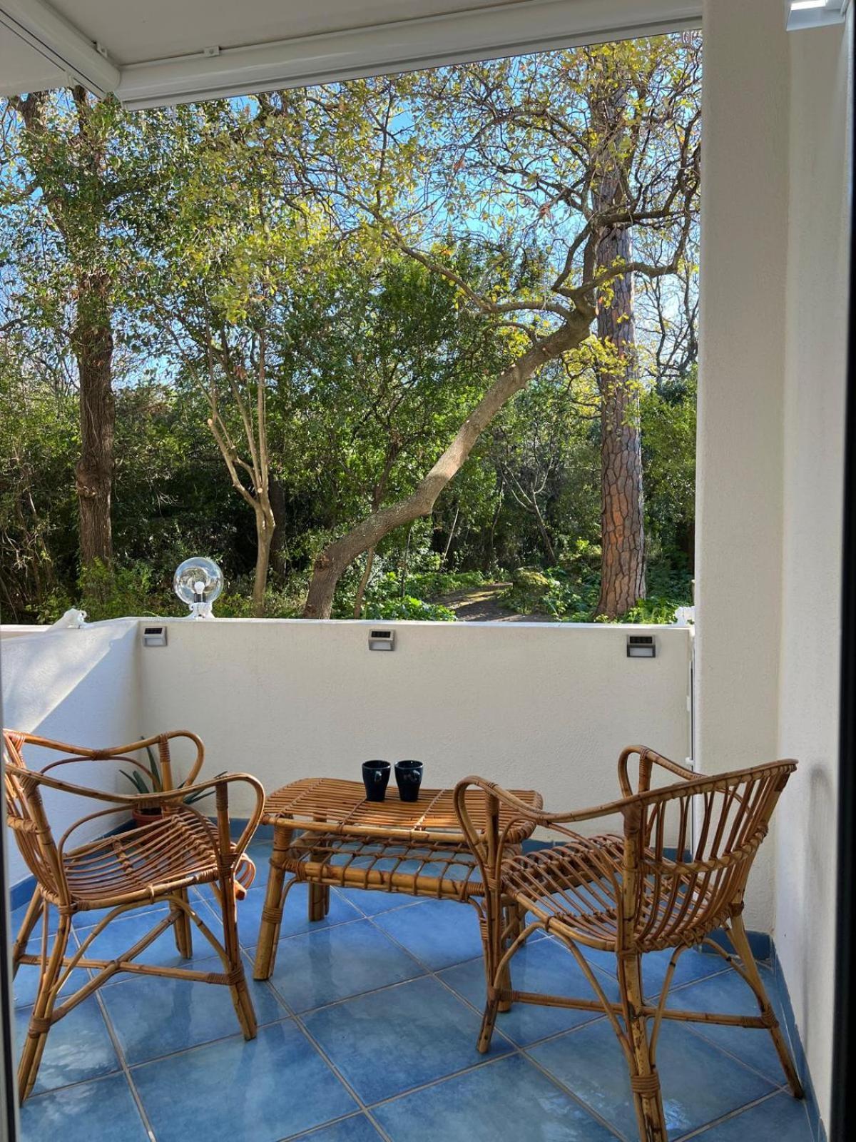 Casa Vacanza Imparo B&B Ischia Esterno foto